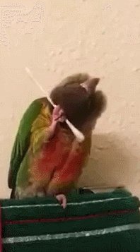 Мы тут приводим себя в порядочек