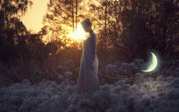 Quality Wallpaper In High Resolution 129 095