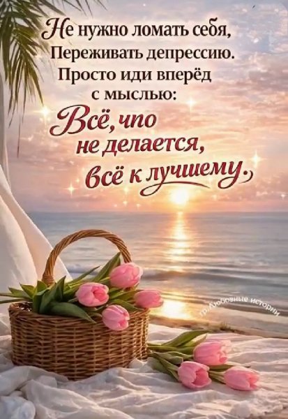 IMG 20260311 013101