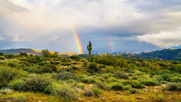 Lock2024-b50 wl tontoforestarizona 1920x1080