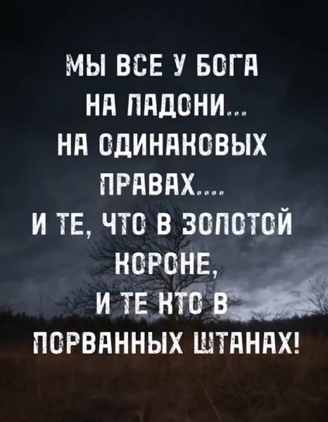 IMG 20260111 175622