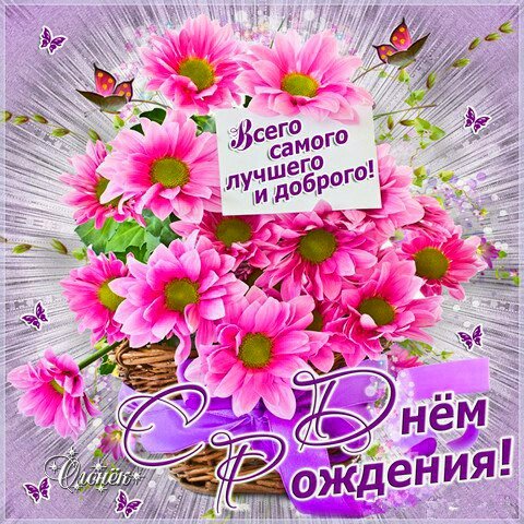 IMG 20181108 204309 693