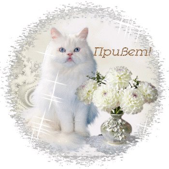 file_76000787
