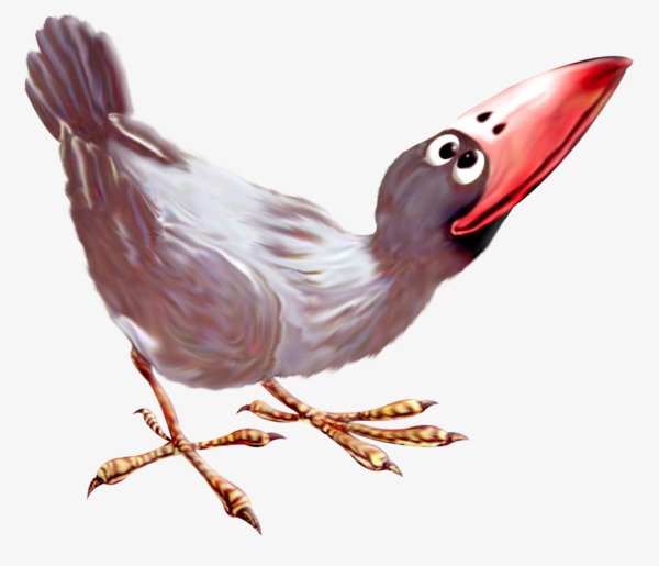 Серая ворона