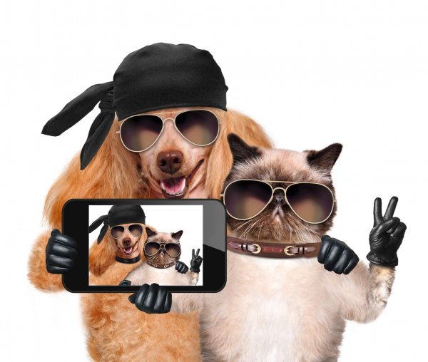 Shutterstock 193023527