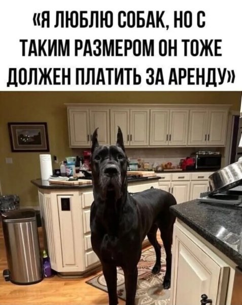FB IMG 1740155772488