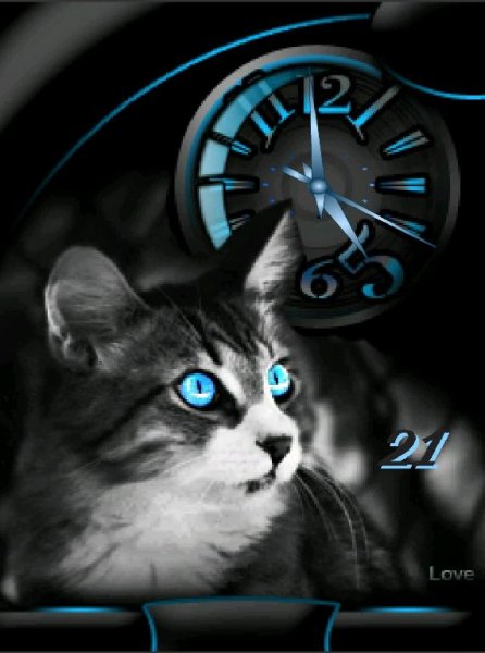 Кошка