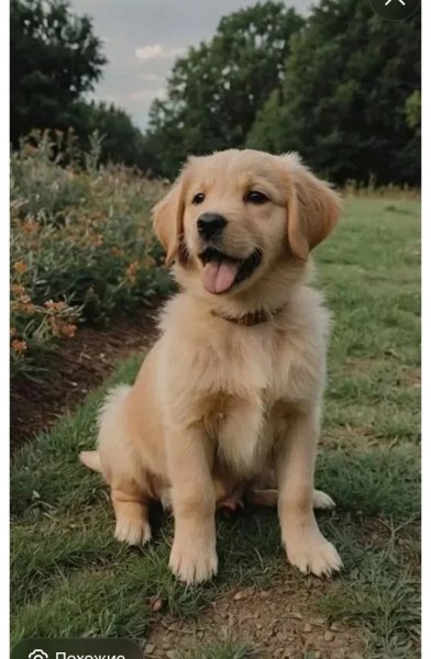 IMG 20260321 134541 164