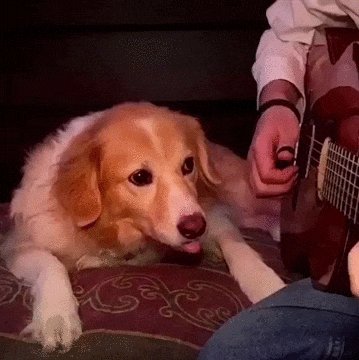 Мужик прекращай а..