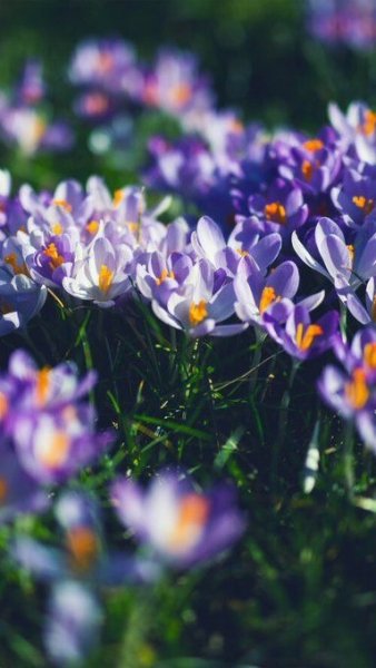 file_89880387