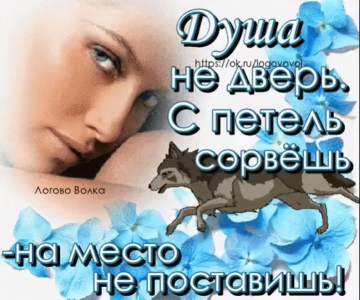 душа не дверь