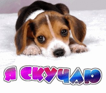 Скучаю