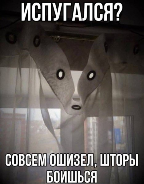 FB IMG 1777725109208