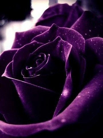 1b0e37f9f7b51fe7917540c32a1fe23d