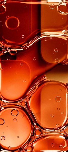 adapted 1080x2408 1771989555