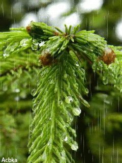file_57437363
