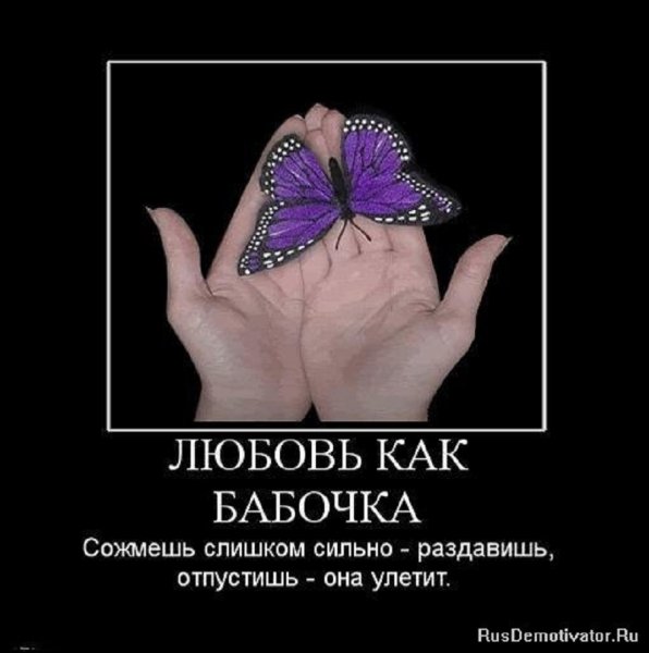 Любовь, как бабочка...