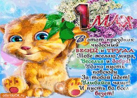 s-1-maya-tebe-zhelayu-mira