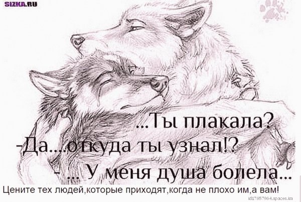 file_88968356