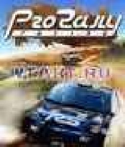 Профессиональное Авторалли