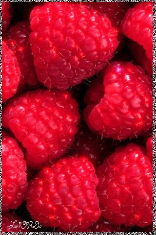 file_74419220