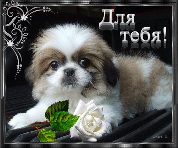 file_67971491
