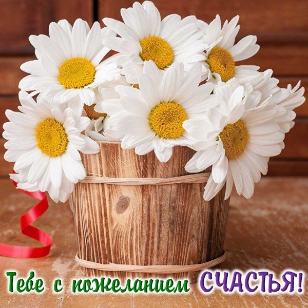 file_95103552