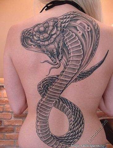 file_54011368