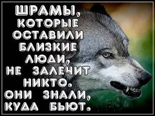 Wramy ne zalechit nikto