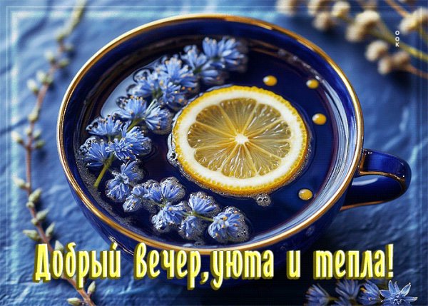 file_101200475