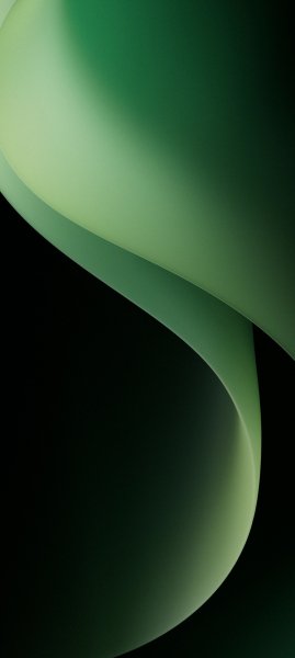 adapted 1080x2408 1768384874