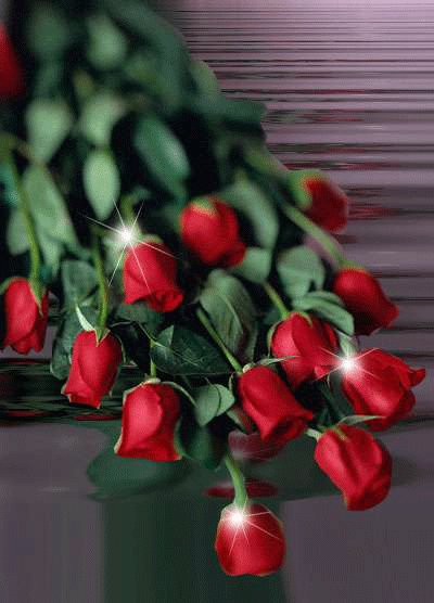 buket zhivykh roz 33 33 33 super
