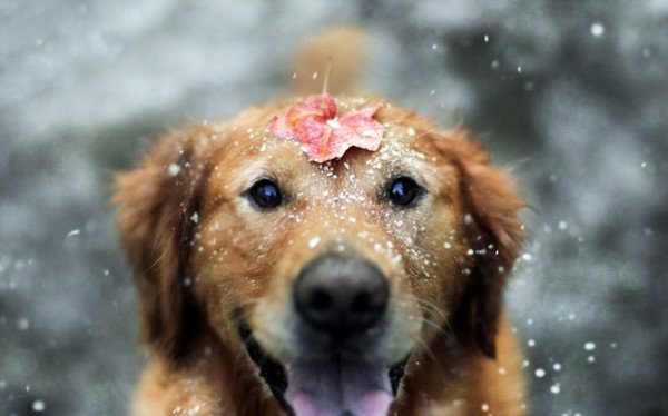 file_94909371