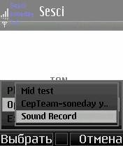 Dictafon Sesci Voicer v1.50 English