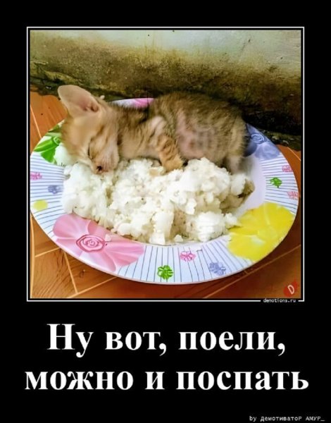 Поели, теперь можно и поспать