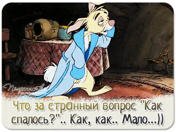 file_74781053
