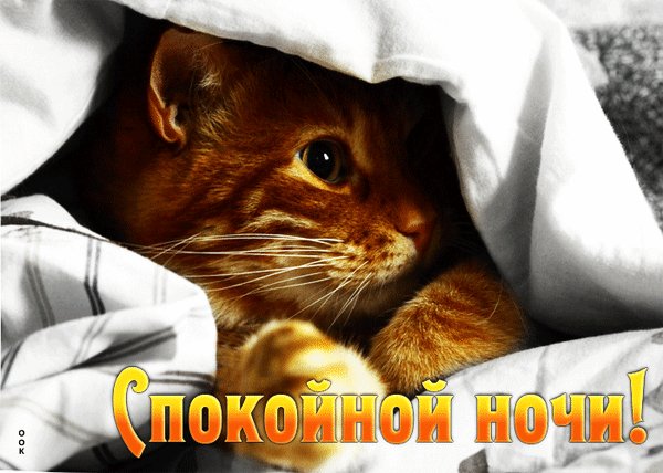 Анимированная открытка спокойной ночи (1)
