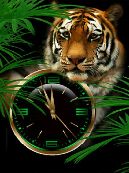 Tigra