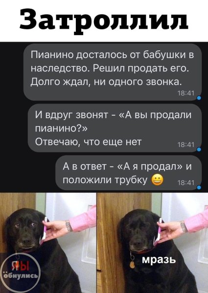 file_103191058