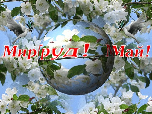 file_73496666