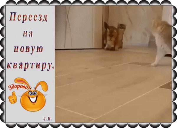 IMG 20221002 163031