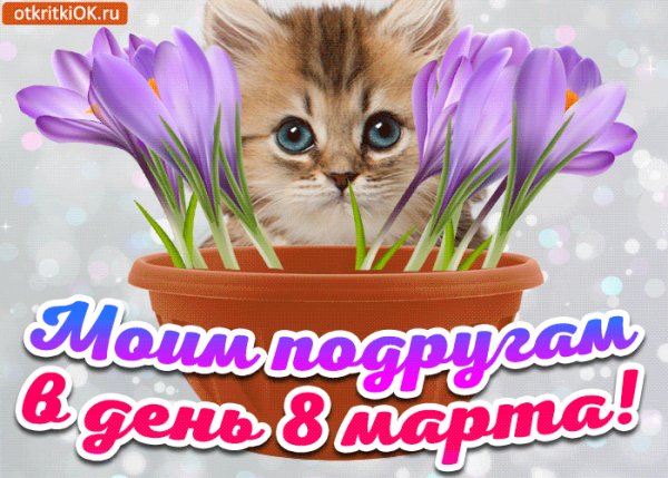 Моим подругам в день 8 марта!