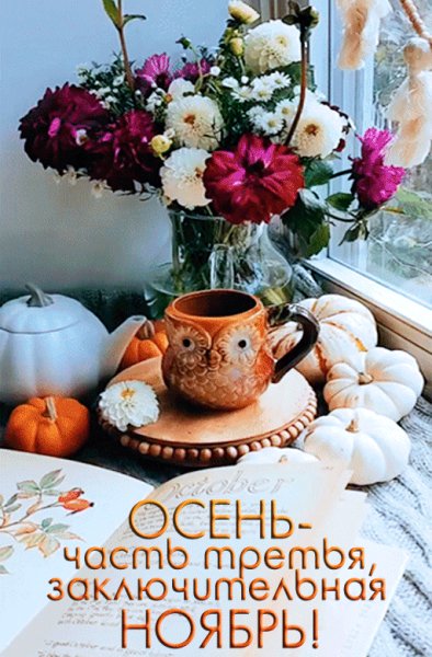 9dc9a46