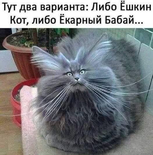 FB IMG 1777725218180