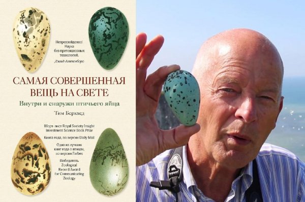 Беркхед Самая совершенная вещь на свете