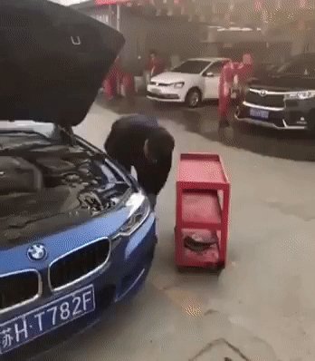 gif 1491325169