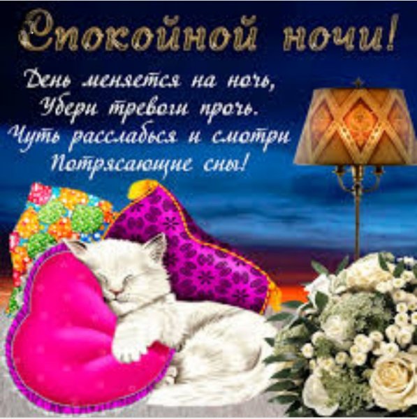 IMG 20190929 195156