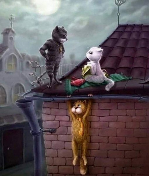 Коты на крыше (3)