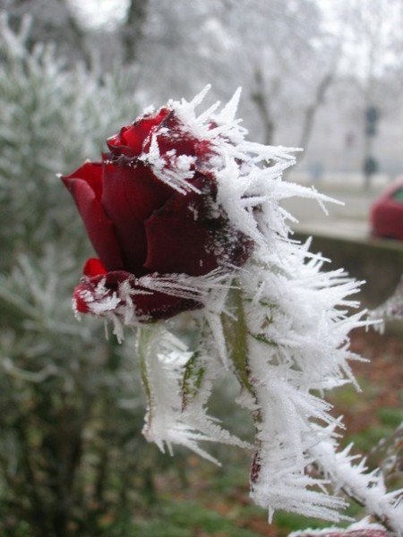 file_94874976