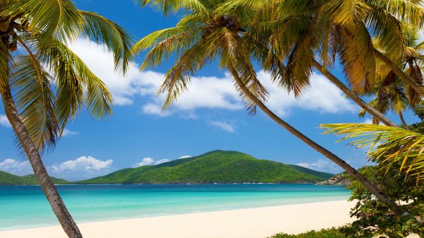 Beach Time Premium 5